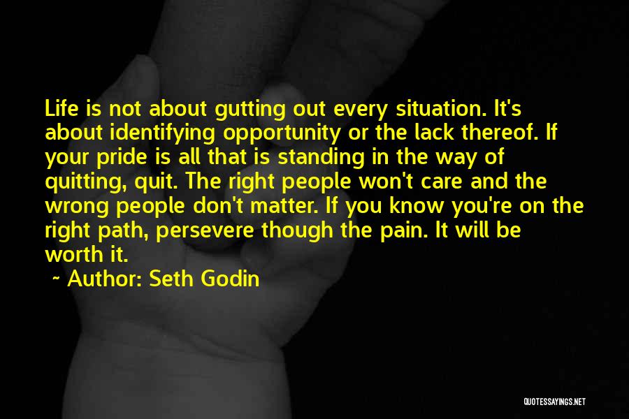 Don't Quit When Things Go Wrong Quotes By Seth Godin