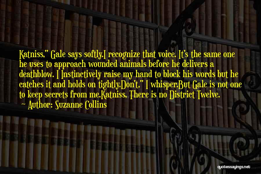 Don't Raise Your Voice Quotes By Suzanne Collins