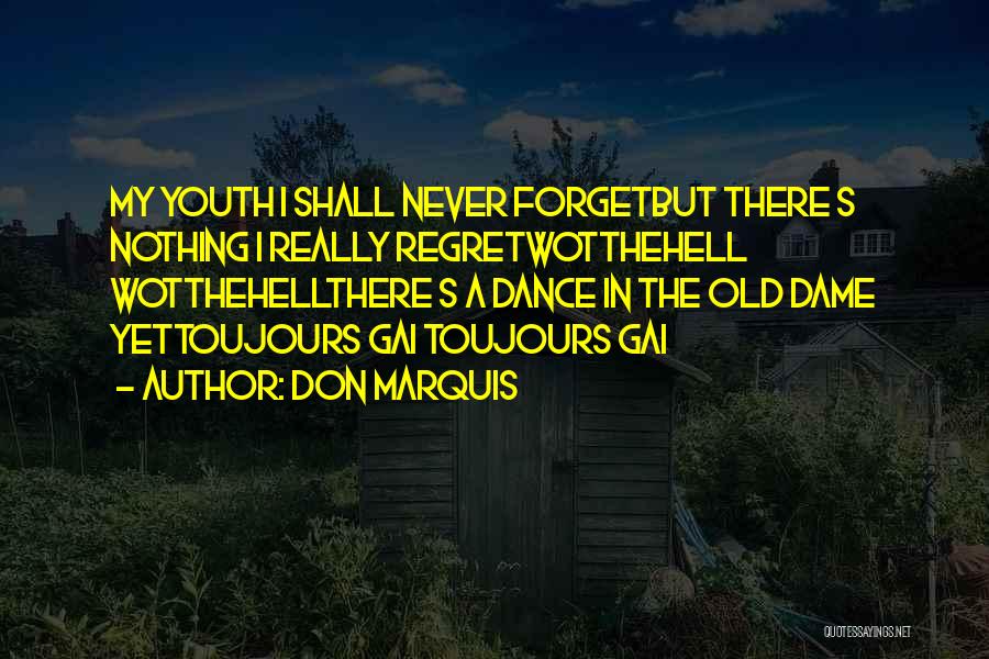 Don't Regret Nothing Quotes By Don Marquis