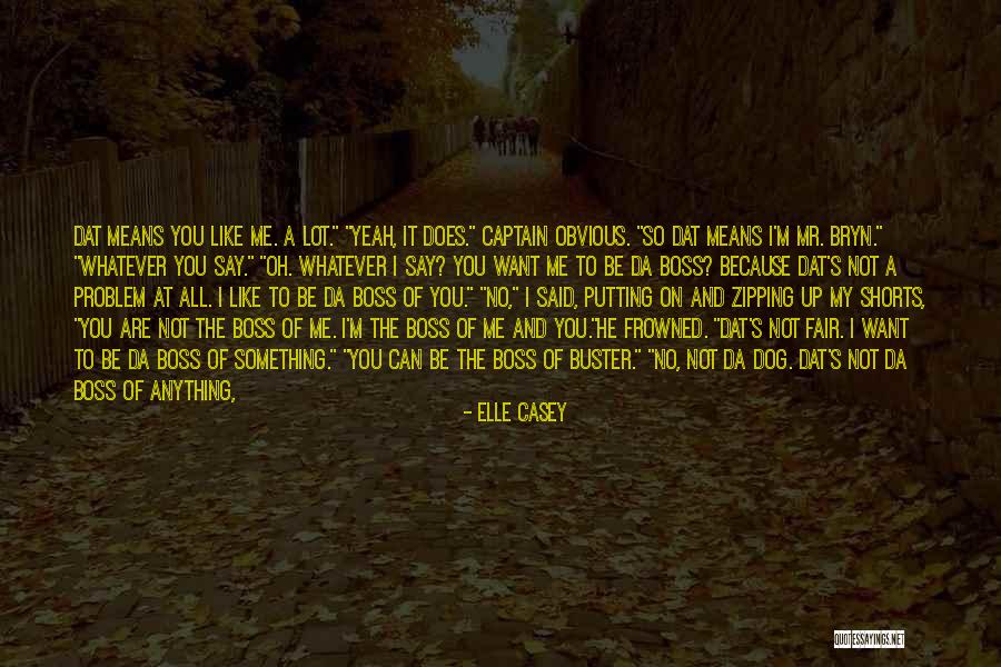 Don't Regret Quotes By Elle Casey