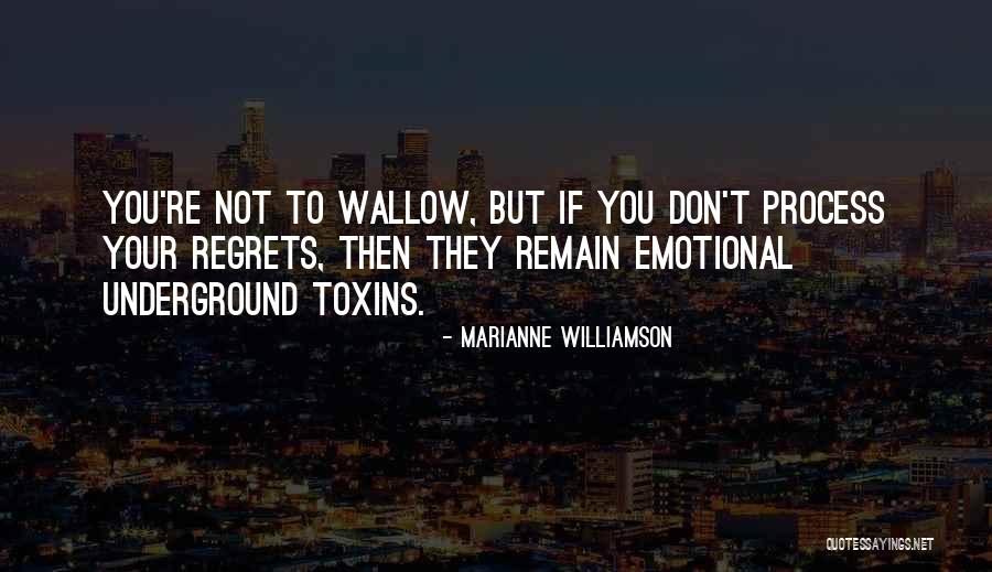 Don't Regret Quotes By Marianne Williamson