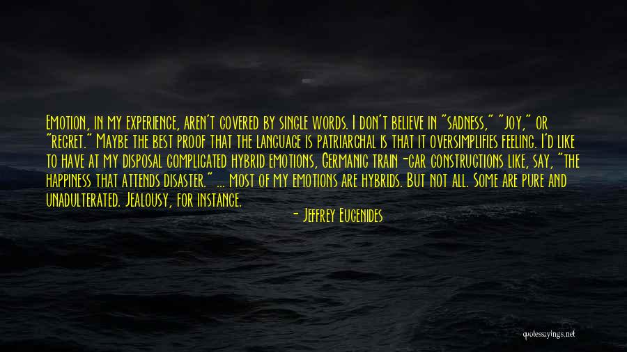 Don't Regret What You Say Quotes By Jeffrey Eugenides