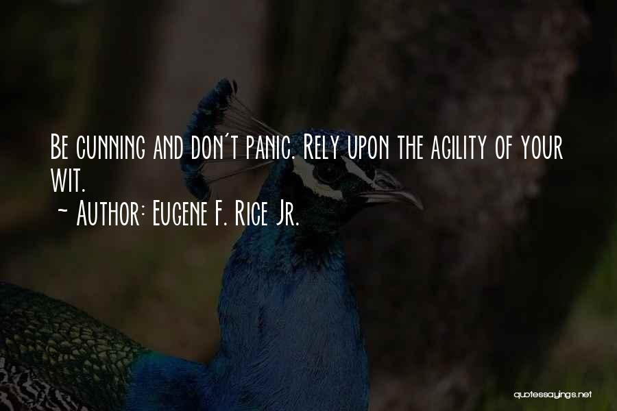 Don't Rely On Someone Quotes By Eugene F. Rice Jr.