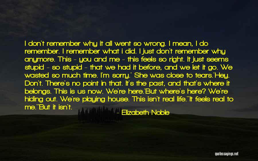 Don't Remember The Past Quotes By Elizabeth Noble