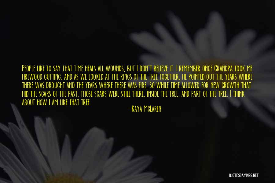 Don't Remember The Past Quotes By Kaya McLaren