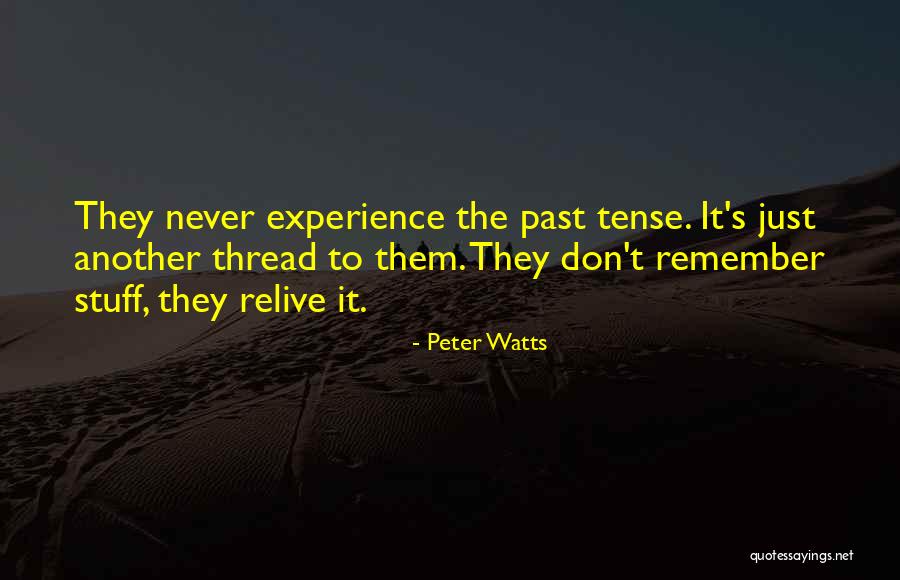 Don't Remember The Past Quotes By Peter Watts