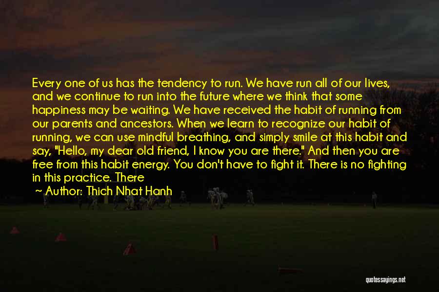 Don't Run Back Quotes By Thich Nhat Hanh