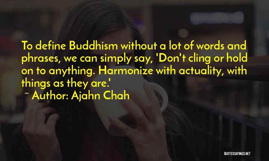 Don't Say Anything Quotes By Ajahn Chah