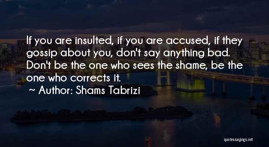 Don't Say Anything Quotes By Shams Tabrizi