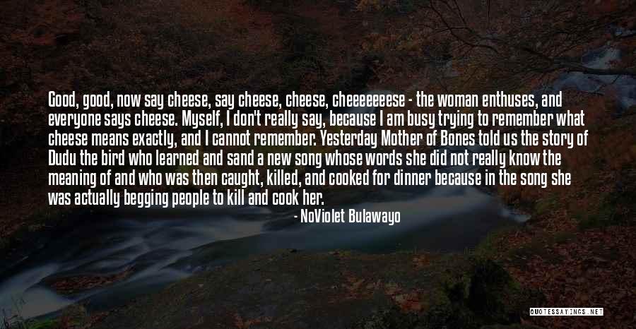 Don't Say Busy Quotes By NoViolet Bulawayo