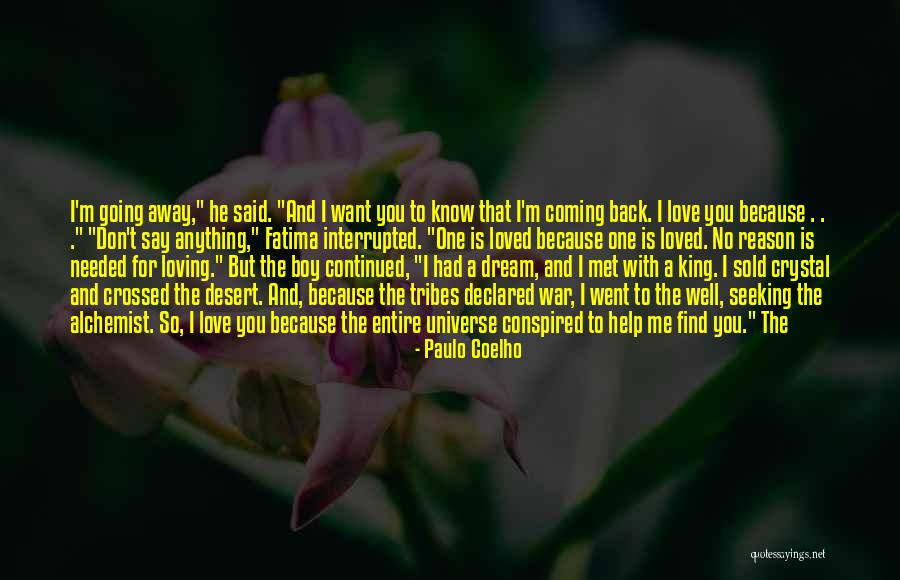 Don't Say I Love You Quotes By Paulo Coelho