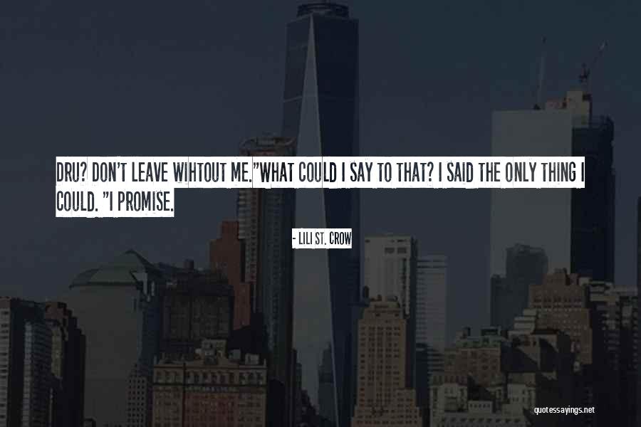 Don't Say Promise Quotes By Lili St. Crow Don't Say Promise Quotes By Lili St. Crow
