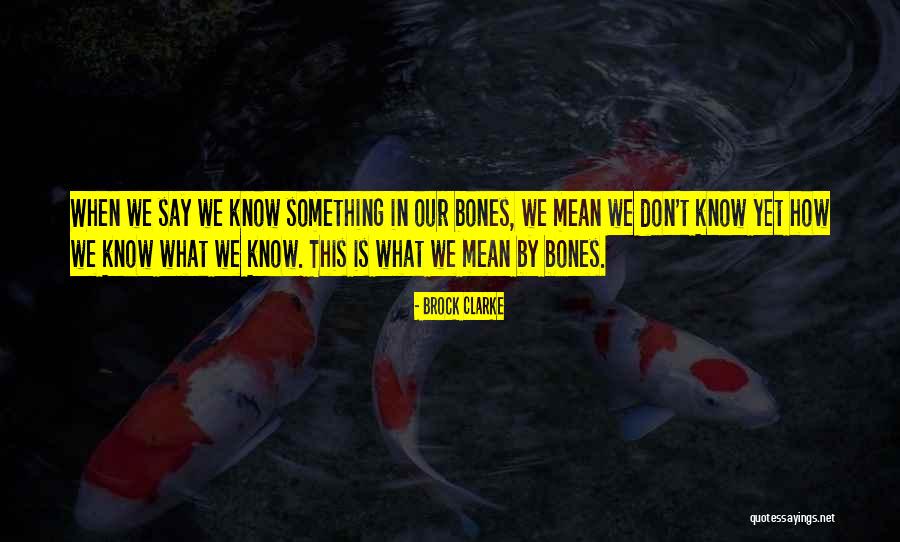 Don't Say Something Quotes By Brock Clarke Don't Say Something Quotes By Brock Clarke