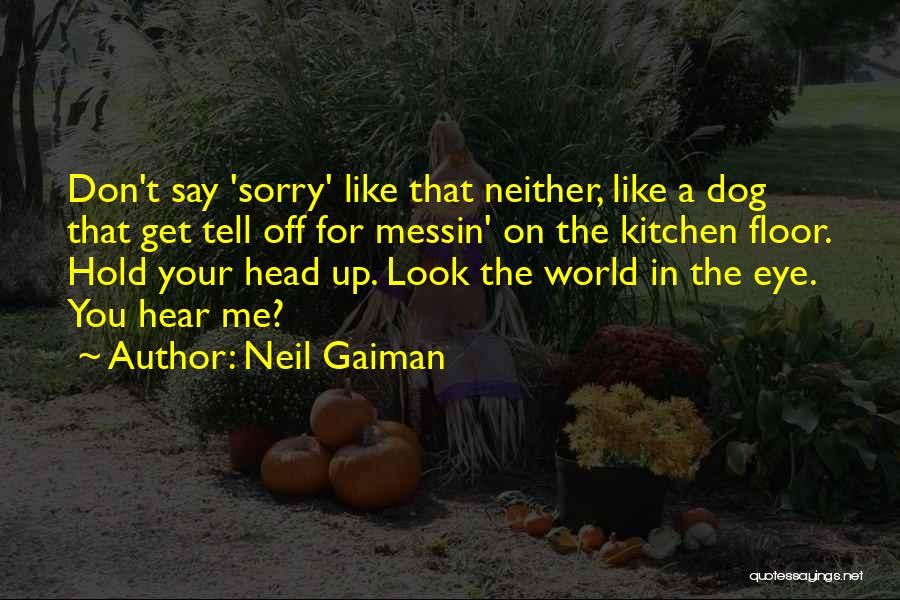 Don't Say Sorry Quotes By Neil Gaiman