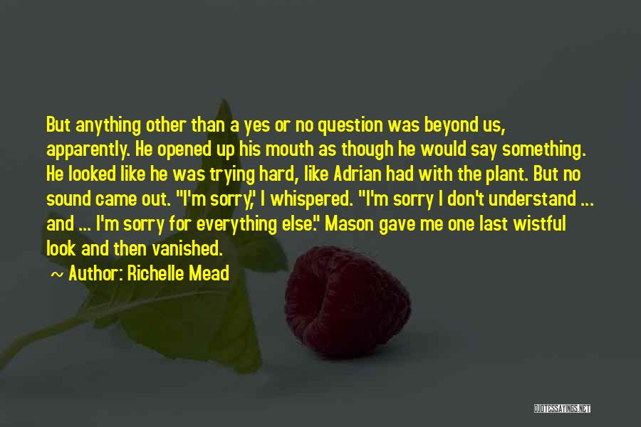 Don't Say Sorry Quotes By Richelle Mead