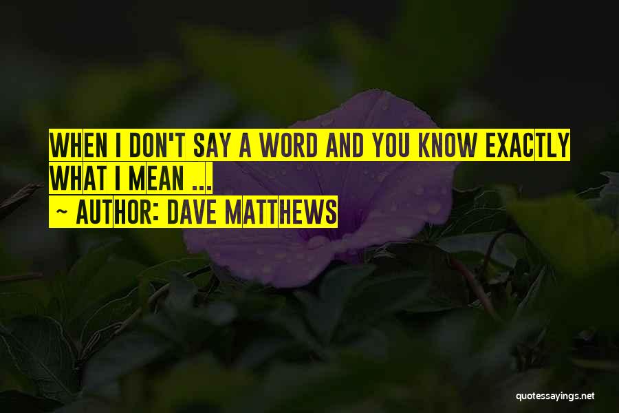 Don't Say What You Don't Mean Quotes By Dave Matthews