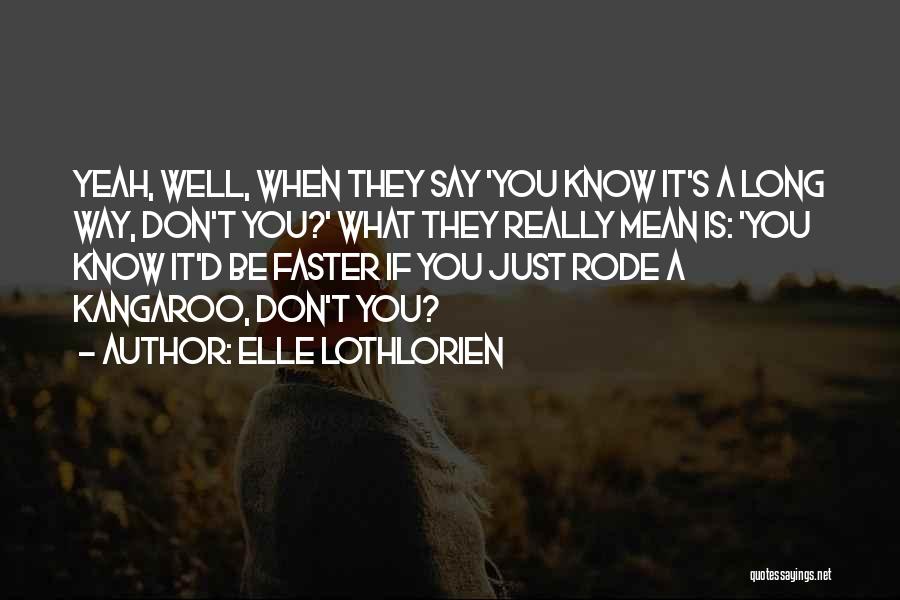 Don't Say What You Don't Mean Quotes By Elle Lothlorien