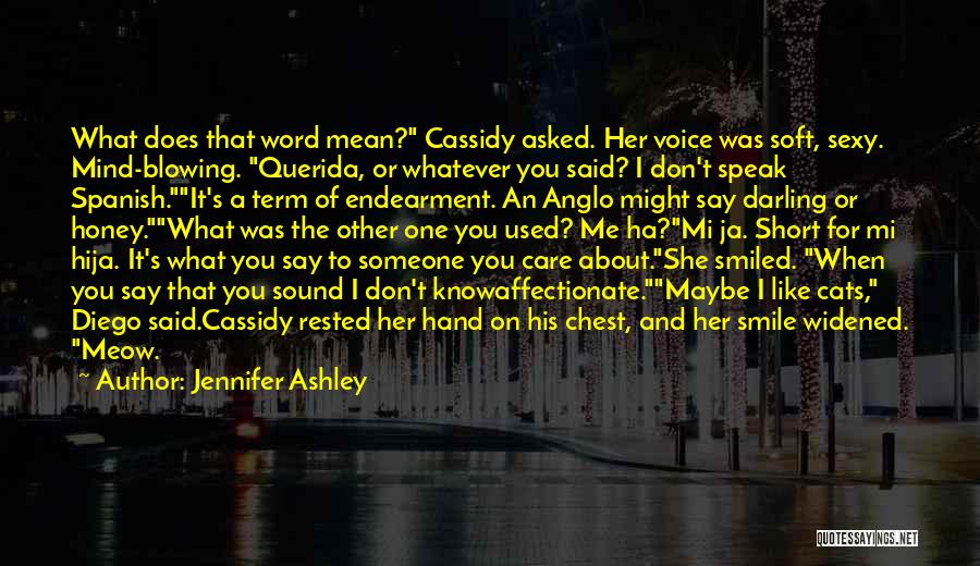 Don't Say What You Don't Mean Quotes By Jennifer Ashley