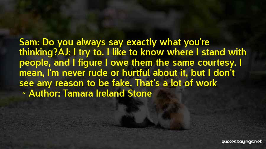 Don't Say What You Don't Mean Quotes By Tamara Ireland Stone