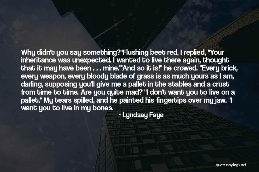 Don't Say You Love Me Quotes By Lyndsay Faye Don't Say You Love Me Quotes By Lyndsay Faye