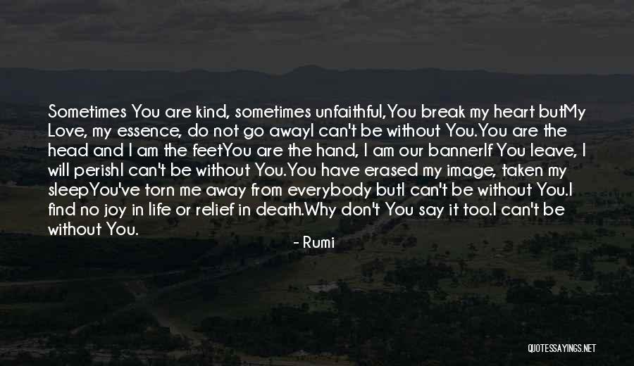 Don't Say You Love Me Quotes By Rumi