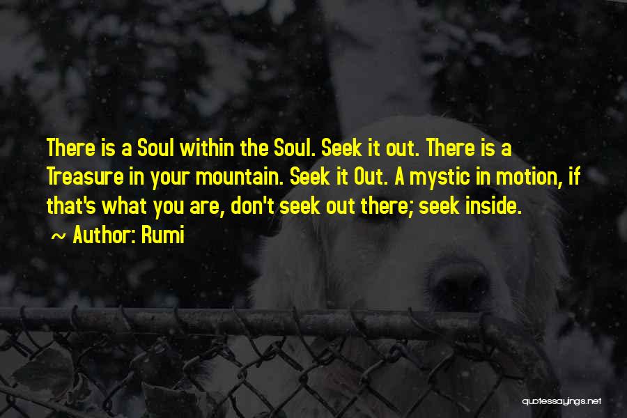 Don't Seek Quotes By Rumi