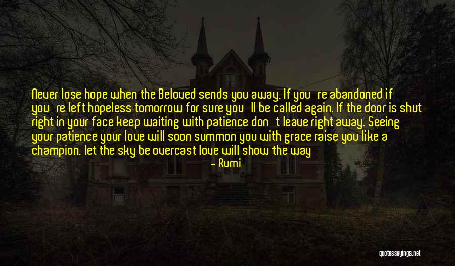 Don't Show Your Love Quotes By Rumi