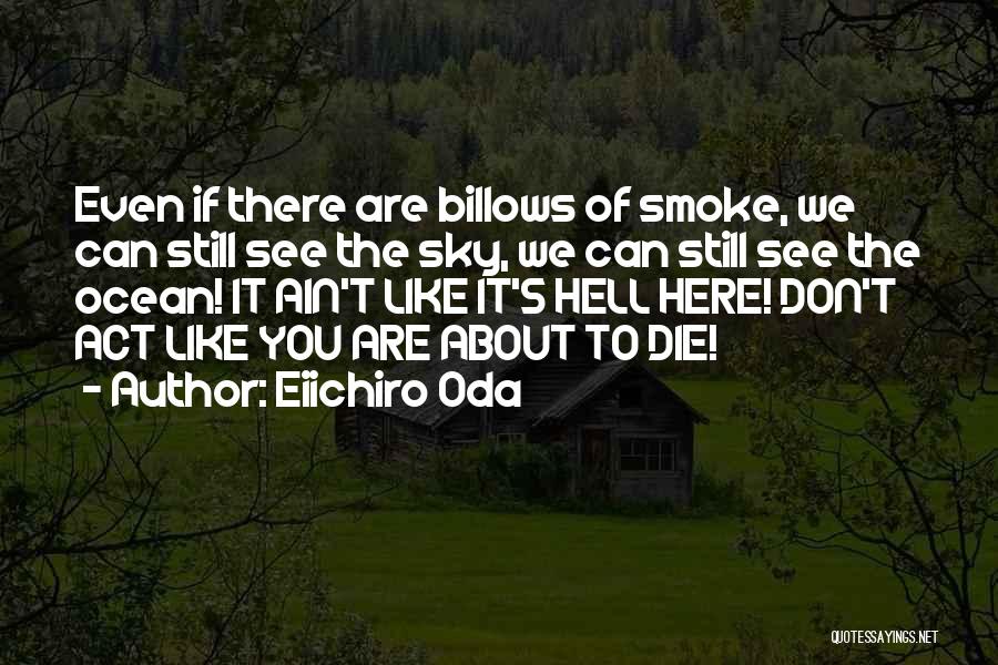 Don't Smoke Quotes By Eiichiro Oda