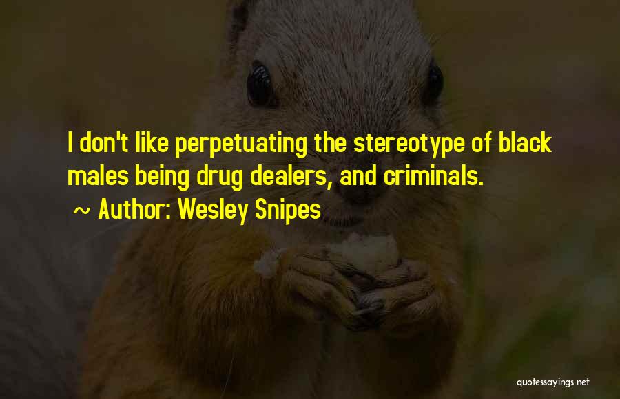 Don't Stereotype Quotes By Wesley Snipes