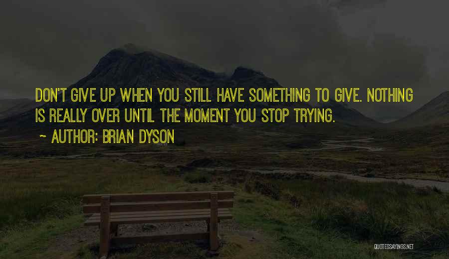 Don't Stop Trying Quotes By Brian Dyson