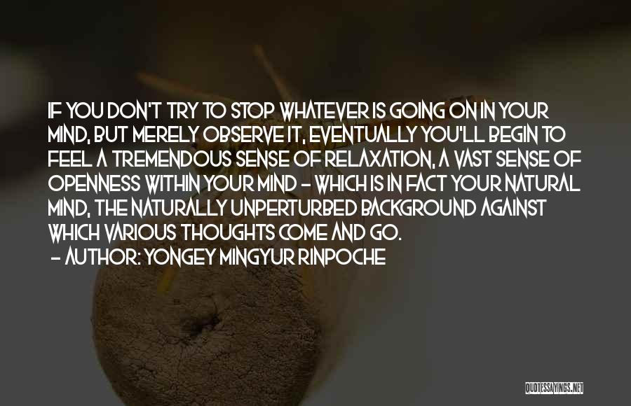 Don't Stop Trying Quotes By Yongey Mingyur Rinpoche