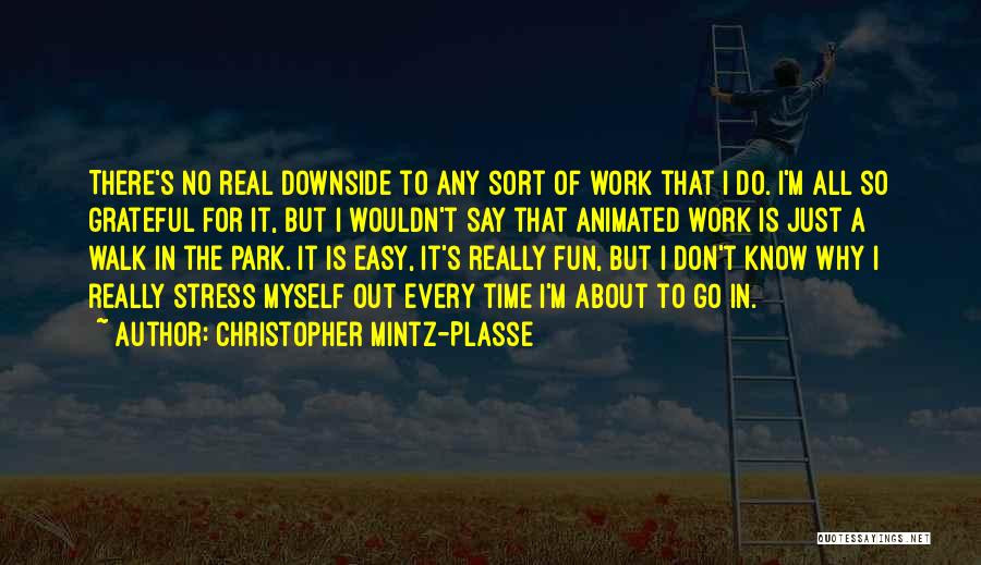 Don't Stress Over Work Quotes By Christopher Mintz-Plasse