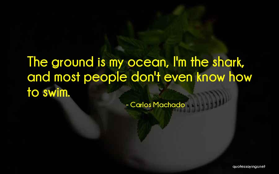 Don't Swim Quotes By Carlos Machado Don't Swim Quotes By Carlos Machado