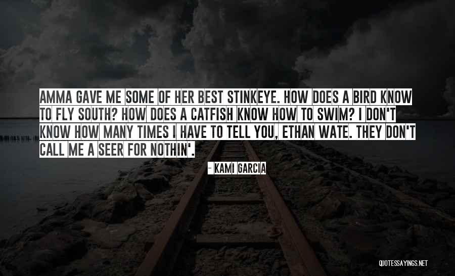 Don't Swim Quotes By Kami Garcia Don't Swim Quotes By Kami Garcia
