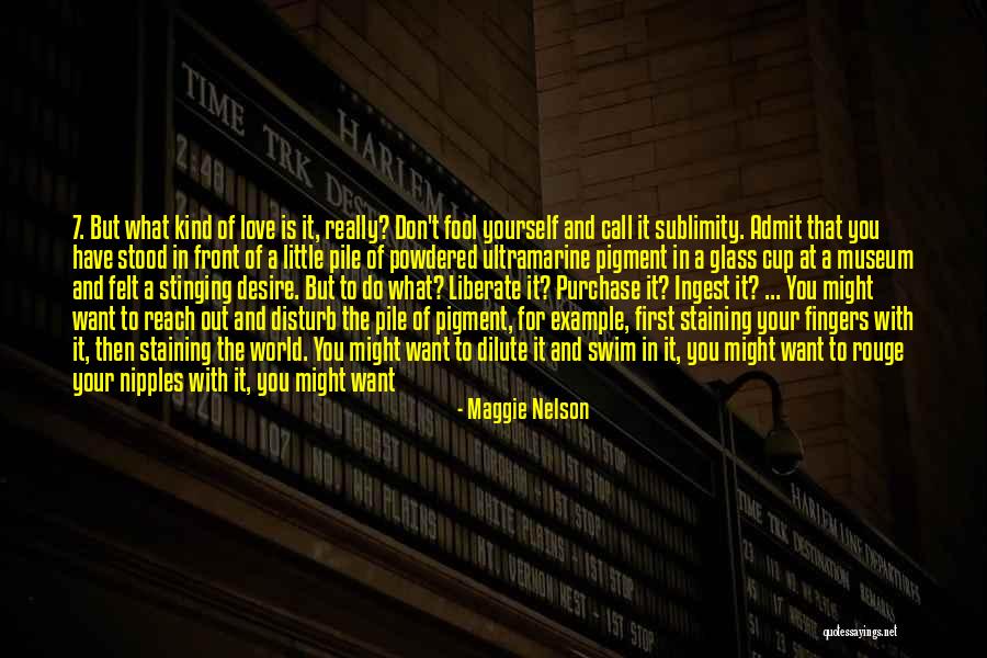 Don't Swim Quotes By Maggie Nelson Don't Swim Quotes By Maggie Nelson