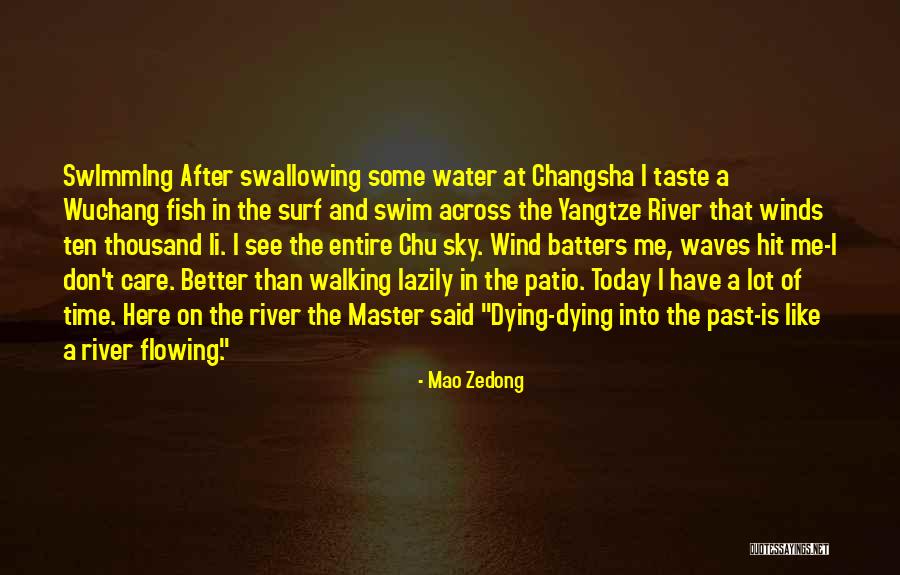 Don't Swim Quotes By Mao Zedong Don't Swim Quotes By Mao Zedong