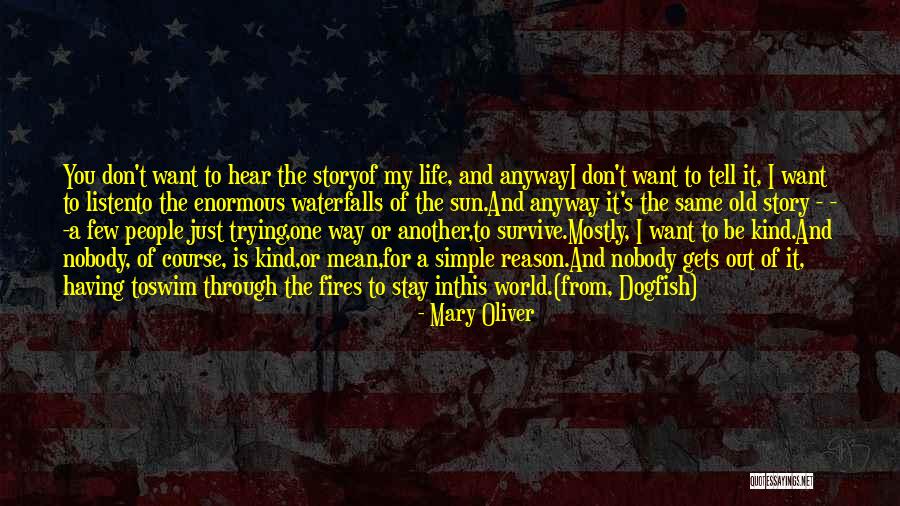 Don't Swim Quotes By Mary Oliver Don't Swim Quotes By Mary Oliver