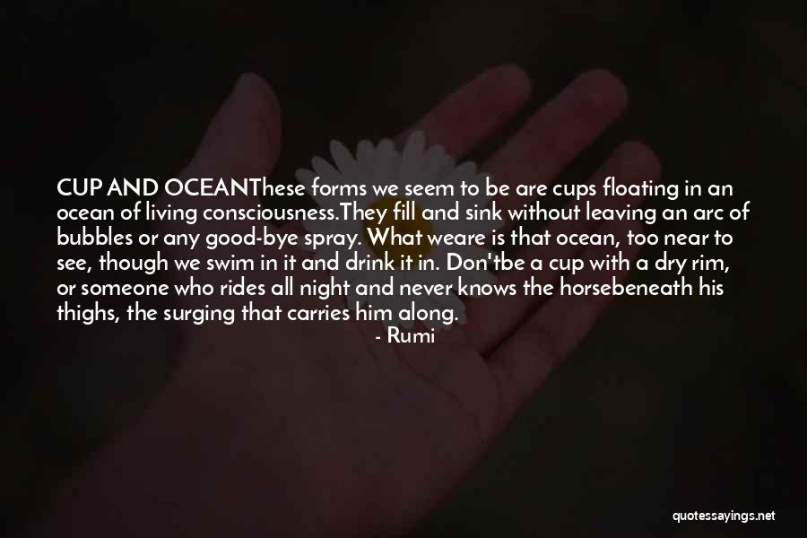 Don't Swim Quotes By Rumi Don't Swim Quotes By Rumi