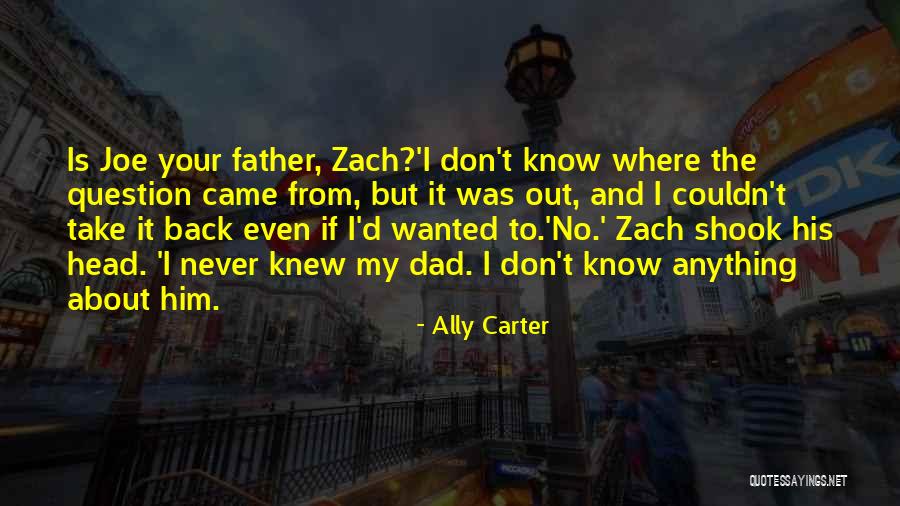 Don't Take Him Back Quotes By Ally Carter