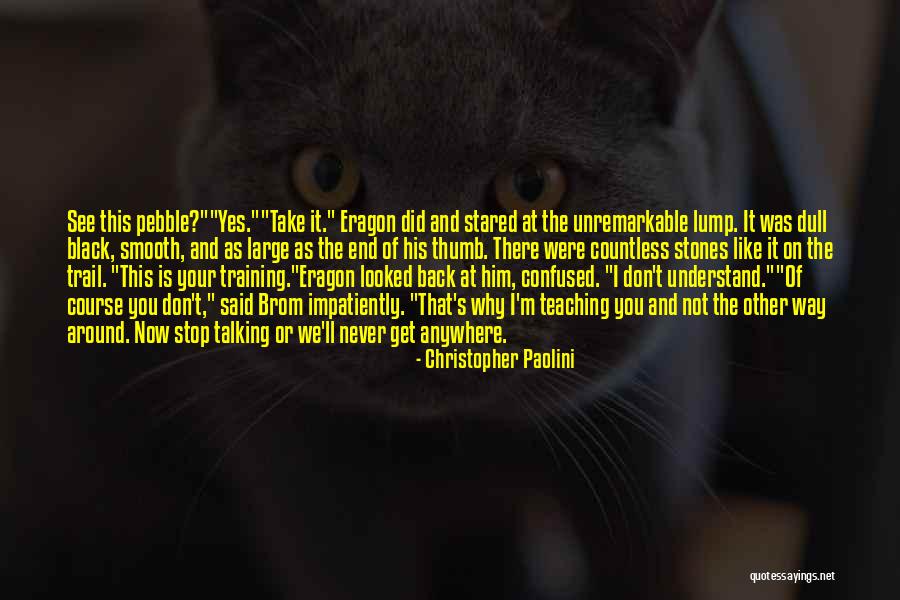 Don't Take Him Back Quotes By Christopher Paolini