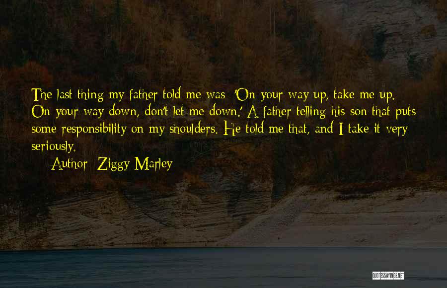 Don't Take Me Seriously Quotes By Ziggy Marley