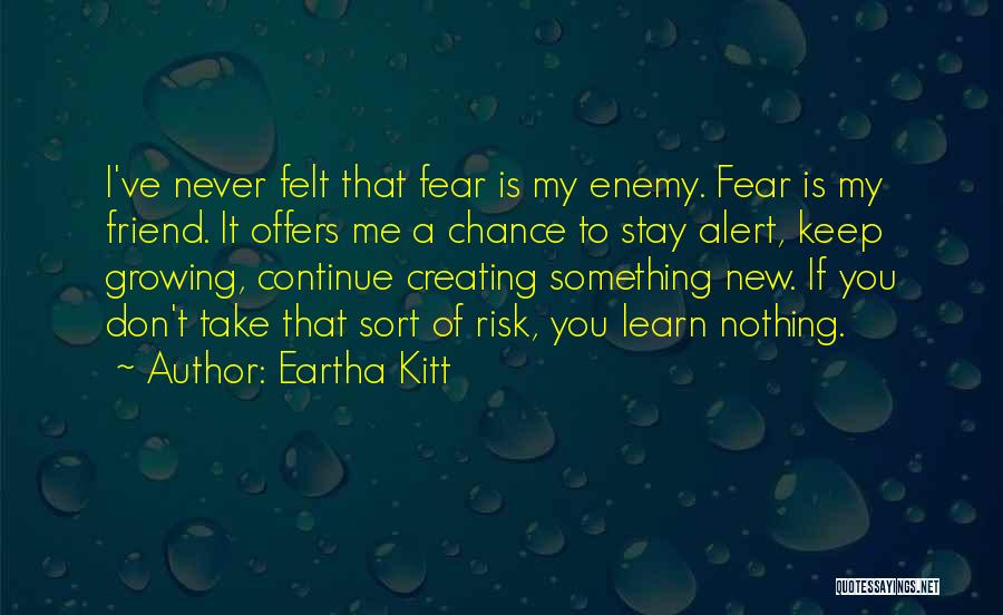 Don't Take Risk Quotes By Eartha Kitt