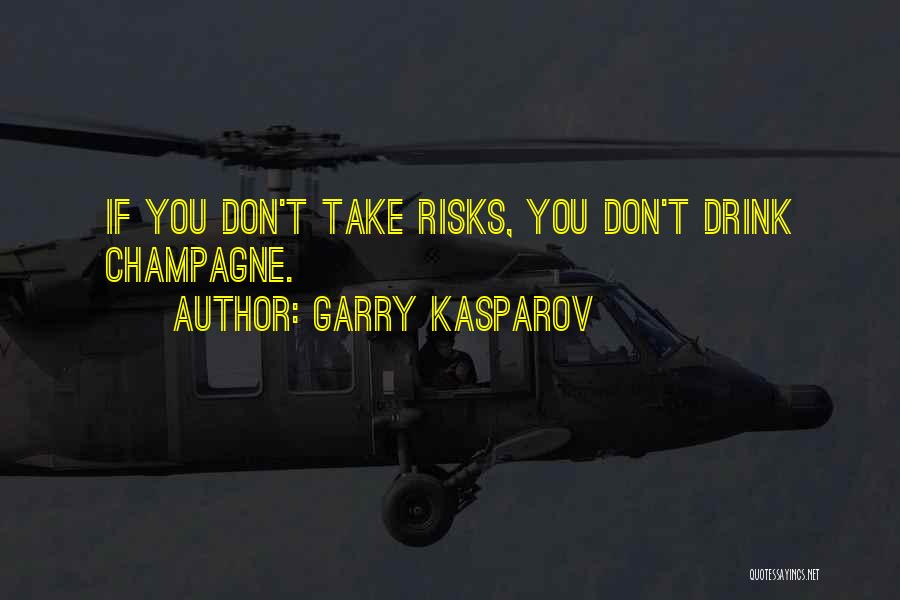 Don't Take Risk Quotes By Garry Kasparov