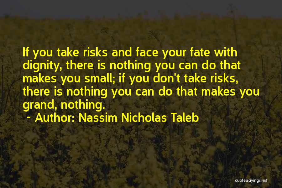 Don't Take Risks Quotes By Nassim Nicholas Taleb