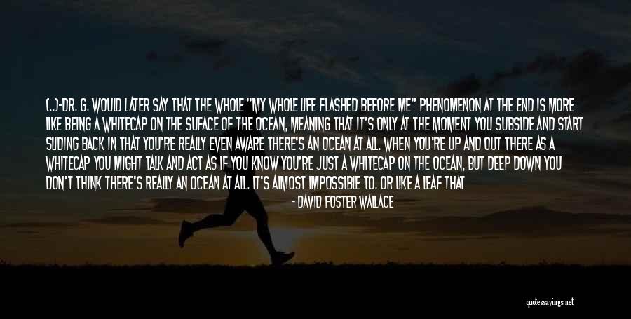 Don't Talk Back Quotes By David Foster Wallace Don't Talk Back Quotes By David Foster Wallace