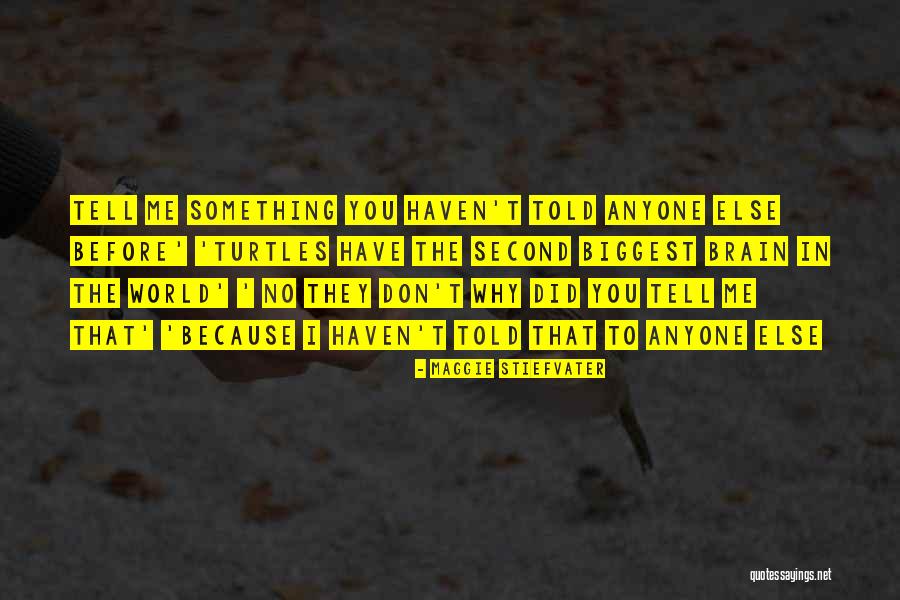 Don't Tell Anyone Quotes By Maggie Stiefvater Don't Tell Anyone Quotes By Maggie Stiefvater