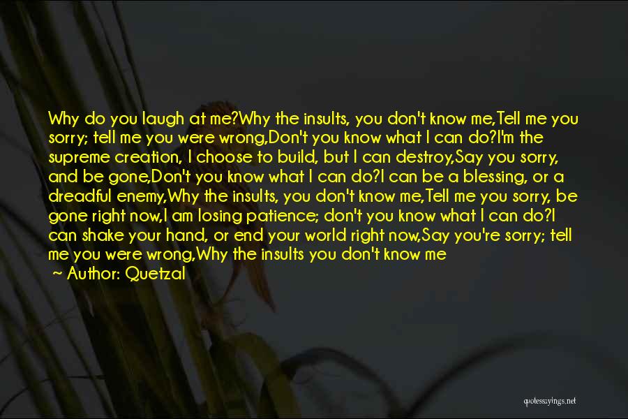 Don't Tell Me Sorry Quotes By Quetzal