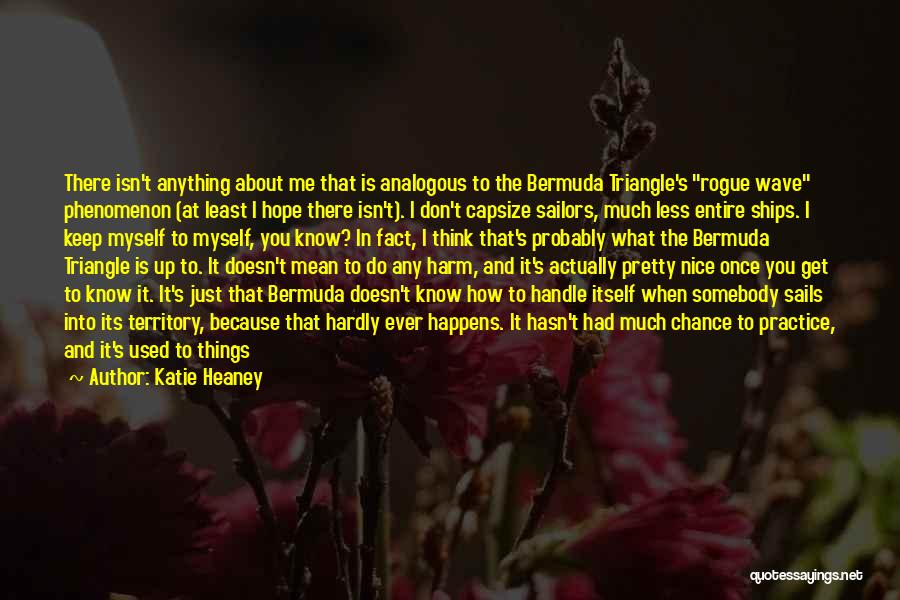Don't Think About Me Quotes By Katie Heaney