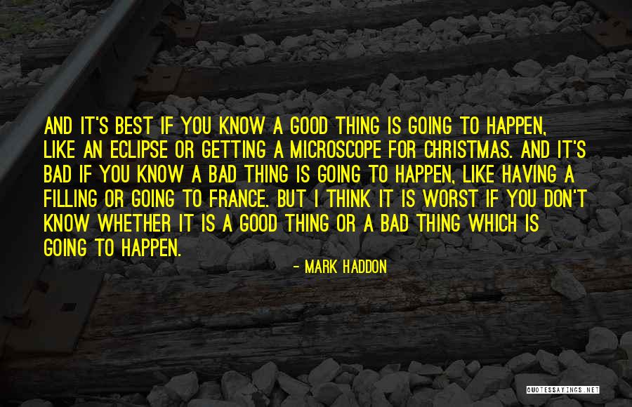 Don't Think Future Quotes By Mark Haddon