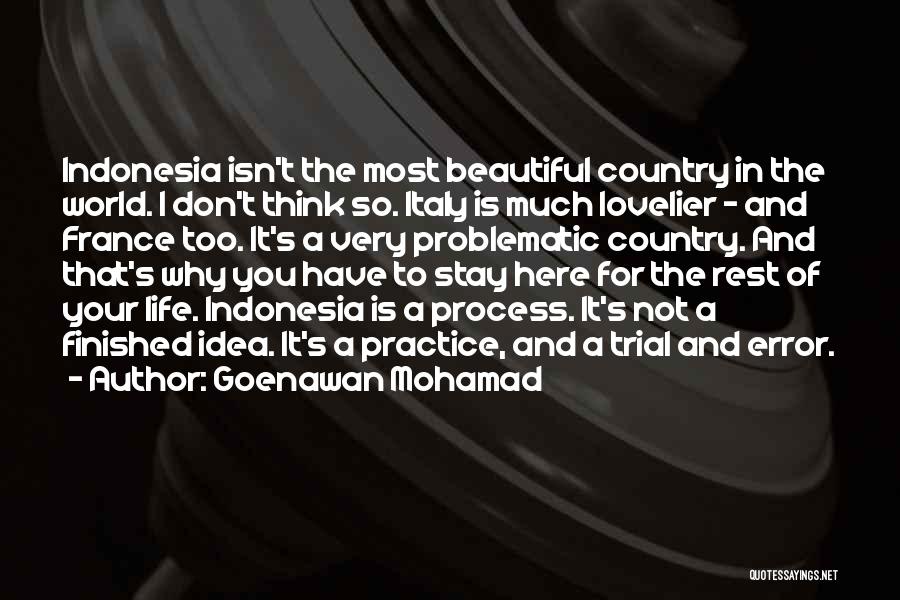 Don't Think Too Much Quotes By Goenawan Mohamad